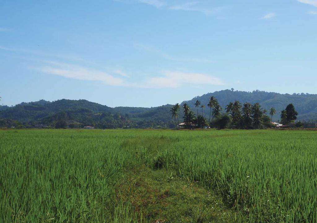 Panji Panji Tropical Wooden Home Pantai Cenang  Exterior foto