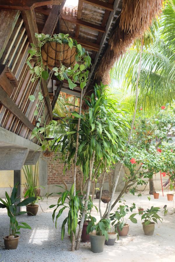 Panji Panji Tropical Wooden Home Pantai Cenang  Exterior foto